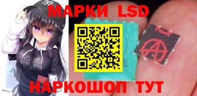 spice Заволжье