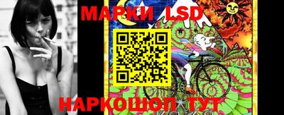 spice Заволжье